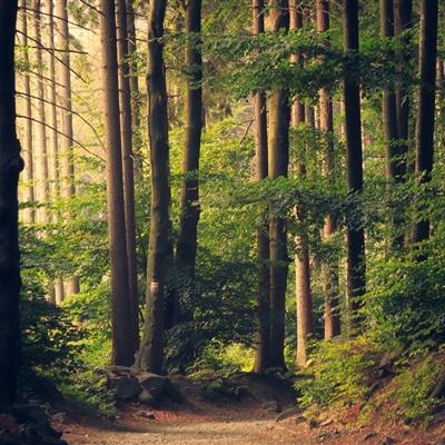 b体育官方app下载app下载截图